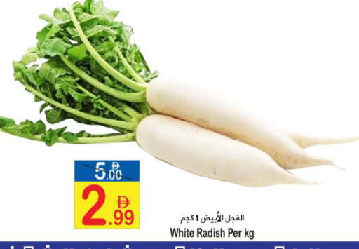 Radish available at سن اند ساند هايبر ماركت ذ.م.م in الإمارات العربية المتحدة , الامارات - رَأْس ٱلْخَيْمَة