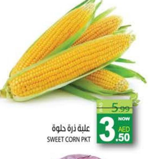 available at هاشم هايبرماركت in الإمارات العربية المتحدة , الامارات - الشارقة / عجمان