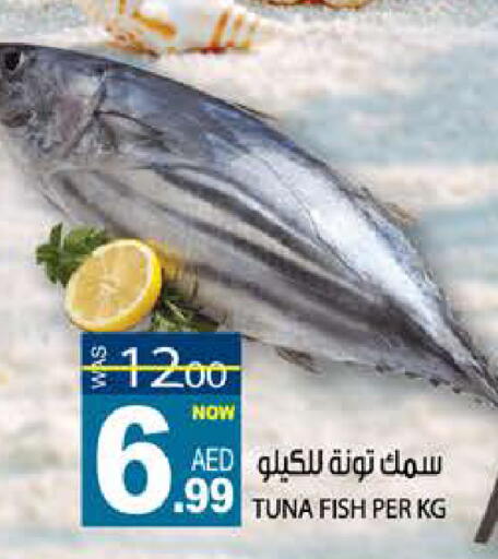 available at هاشم هايبرماركت in الإمارات العربية المتحدة , الامارات - الشارقة / عجمان