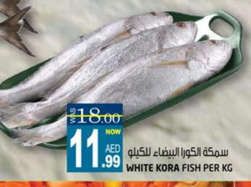 available at هاشم هايبرماركت in الإمارات العربية المتحدة , الامارات - الشارقة / عجمان