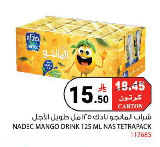Mango available at House Care in KSA, Saudi Arabia, Saudi - Mecca