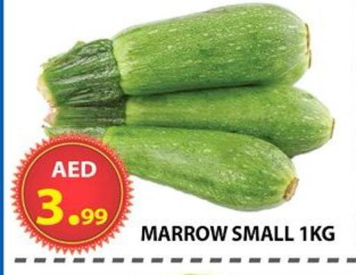 Marrow available at مركز الوحدة للتخفيضات in الإمارات العربية المتحدة , الامارات - الشارقة / عجمان