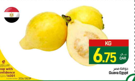 Guava from Egypt available at ســبــار in قطر - الدوحة