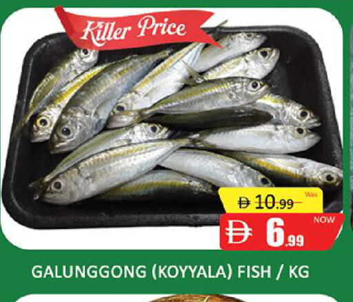 available at المدينة in الإمارات العربية المتحدة , الامارات - دبي