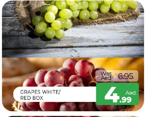 Grapes available at المدينة in الإمارات العربية المتحدة , الامارات - الشارقة / عجمان