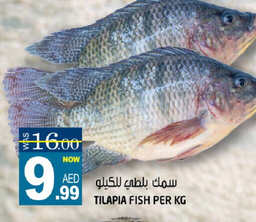 available at هاشم هايبرماركت in الإمارات العربية المتحدة , الامارات - الشارقة / عجمان