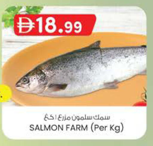 available at Safa Express Supermarket in UAE - Abu Dhabi