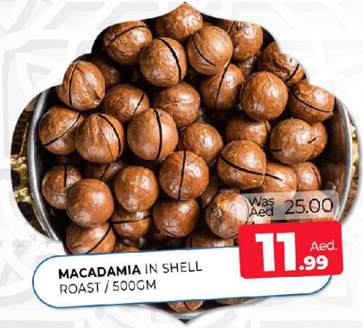 available at المدينة in الإمارات العربية المتحدة , الامارات - الشارقة / عجمان