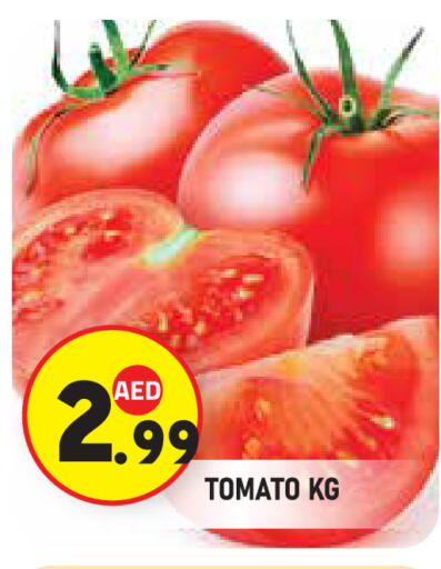 Tomato available at سنابل بني ياس in الإمارات العربية المتحدة , الامارات - أبو ظبي