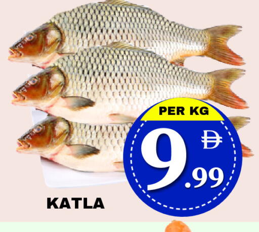 available at مركز نيو داي in الإمارات العربية المتحدة , الامارات - دبي