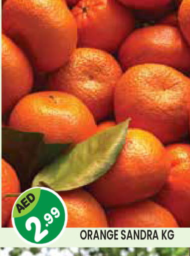 Orange available at سنابل بني ياس in الإمارات العربية المتحدة , الامارات - أبو ظبي