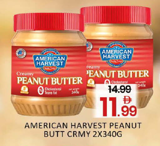 Mango available at مانجو هايبرماركت in الإمارات العربية المتحدة , الامارات - دبي