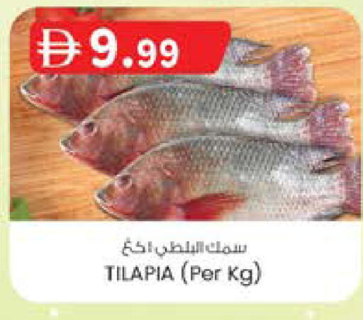 available at ك. الم. للتجارة in الإمارات العربية المتحدة , الامارات - دبي