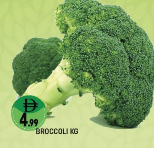 Broccoli available at المدينة in الإمارات العربية المتحدة , الامارات - دبي