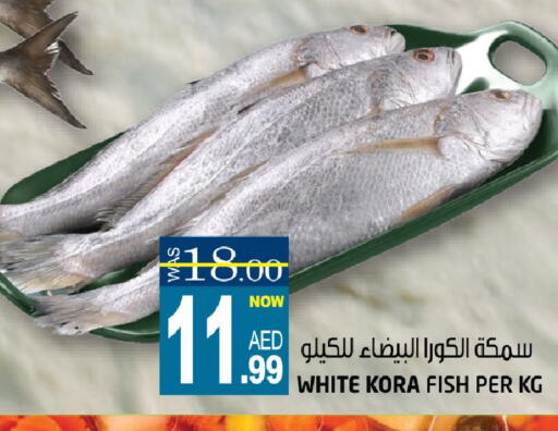 available at هاشم هايبرماركت in الإمارات العربية المتحدة , الامارات - الشارقة / عجمان