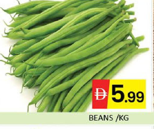 Mango available at مانجو هايبرماركت in الإمارات العربية المتحدة , الامارات - دبي