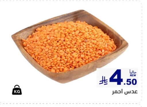 available at أسواق رامز in مملكة العربية السعودية, السعودية, سعودية - تبوك