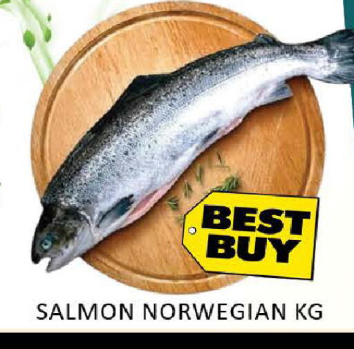 Mango available at مانجو هايبرماركت in الإمارات العربية المتحدة , الامارات - دبي