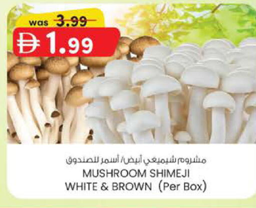 Mushroom available at ك. الم. للتجارة in الإمارات العربية المتحدة , الامارات - الشارقة / عجمان