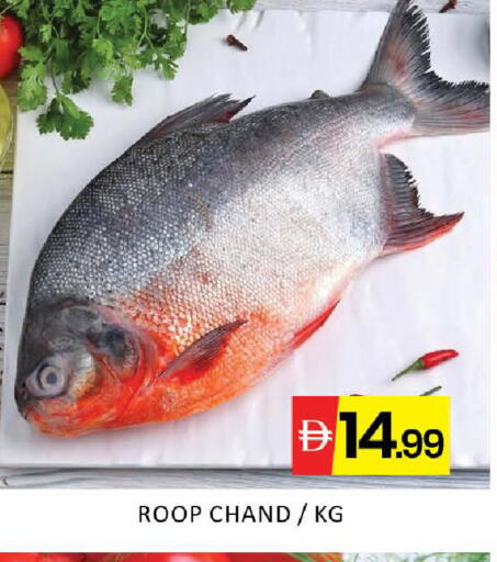 Mango available at مانجو هايبرماركت in الإمارات العربية المتحدة , الامارات - دبي