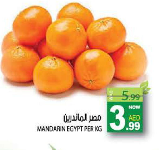 Mandarin from Egypt available at هاشم هايبرماركت in الإمارات العربية المتحدة , الامارات - الشارقة / عجمان