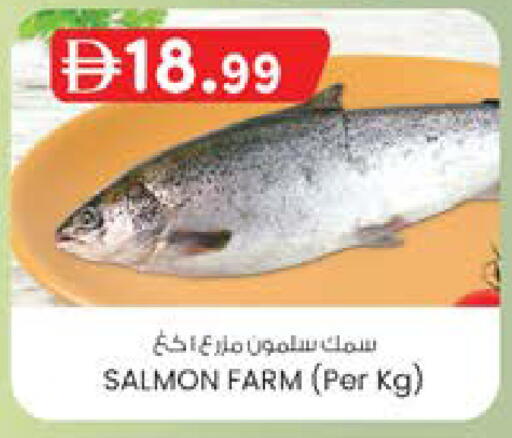 available at ك. الم. للتجارة in الإمارات العربية المتحدة , الامارات - دبي