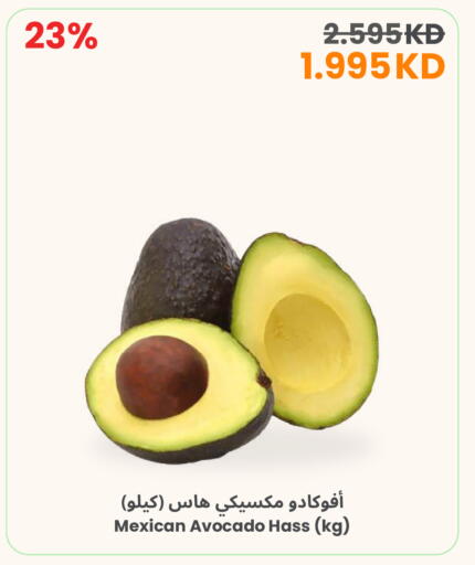 Avocado from Mexico available at مركز سلطان in الكويت - محافظة الأحمدي