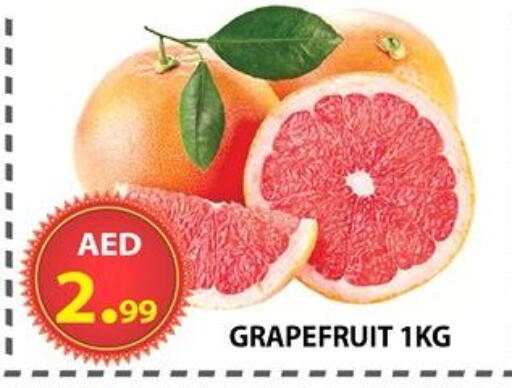 available at مركز الوحدة للتخفيضات in الإمارات العربية المتحدة , الامارات - الشارقة / عجمان