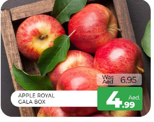 Apple available at المدينة in الإمارات العربية المتحدة , الامارات - الشارقة / عجمان