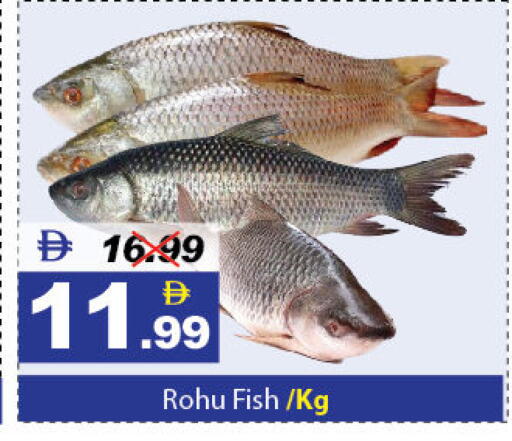 available at ديزرت فريش ماركت in الإمارات العربية المتحدة , الامارات - أبو ظبي