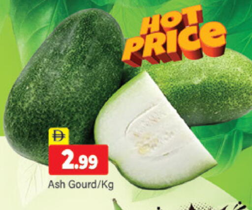 available at المدينة in الإمارات العربية المتحدة , الامارات - دبي