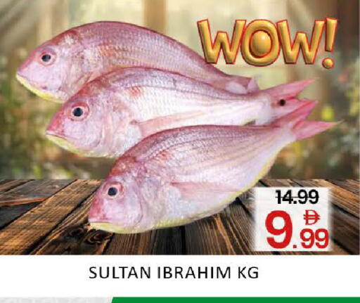 Mango available at مانجو هايبرماركت in الإمارات العربية المتحدة , الامارات - دبي