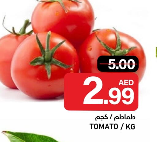 Tomato available at النادي هايبرماركت in الإمارات العربية المتحدة , الامارات - الشارقة / عجمان