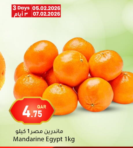 from Egypt available at دانا ماركت in قطر - أم صلال