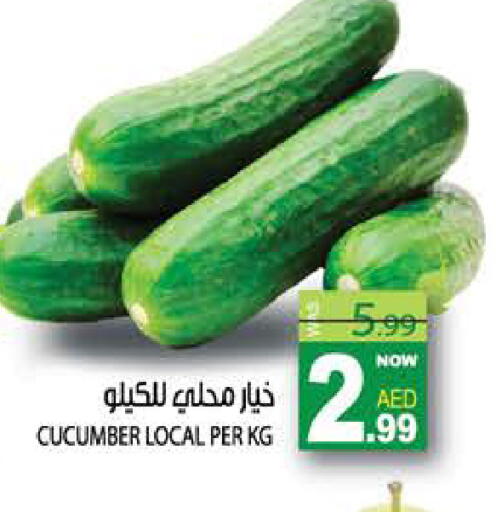 Cucumber available at هاشم هايبرماركت in الإمارات العربية المتحدة , الامارات - الشارقة / عجمان