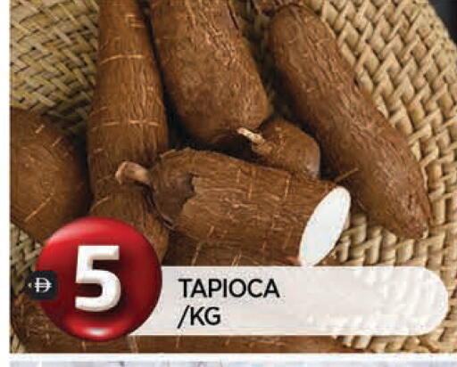 available at المدينة in الإمارات العربية المتحدة , الامارات - الشارقة / عجمان