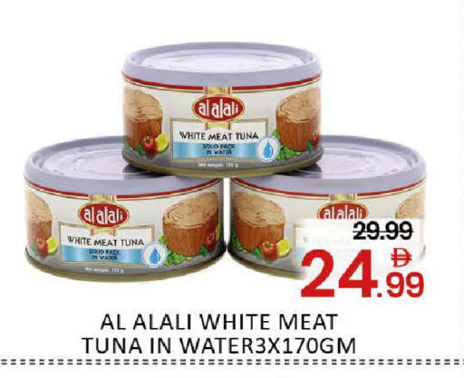 Mango available at مانجو هايبرماركت in الإمارات العربية المتحدة , الامارات - دبي