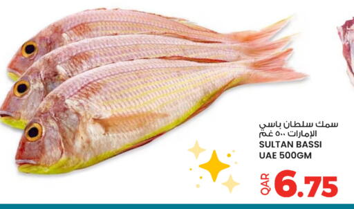 available at أنصار جاليري in قطر - الشحانية