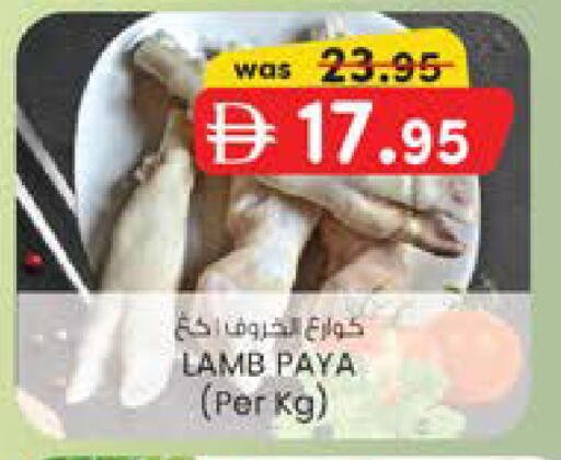 available at K M Trading  in UAE - Dubai