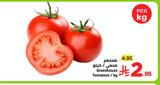 Tomato available at وهج مارت in مملكة العربية السعودية, السعودية, سعودية - جدة