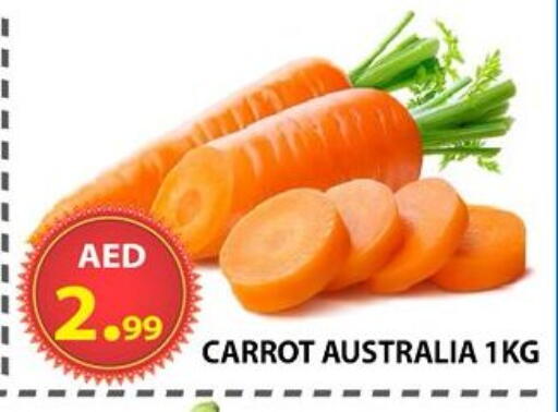 Carrot from Australia available at مركز الوحدة للتخفيضات in الإمارات العربية المتحدة , الامارات - الشارقة / عجمان