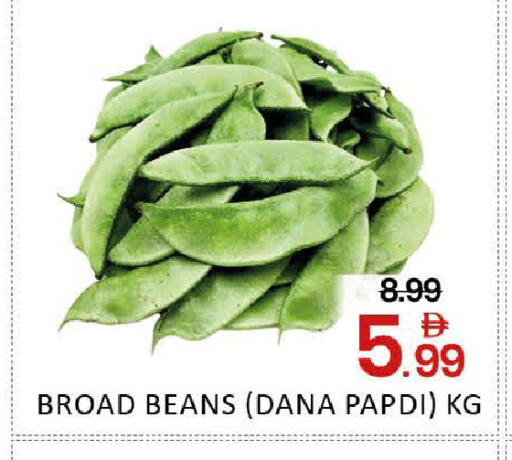 Mango available at مانجو هايبرماركت in الإمارات العربية المتحدة , الامارات - دبي