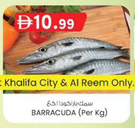 available at صفا اكسبريس سوبرماركت in الإمارات العربية المتحدة , الامارات - أبو ظبي