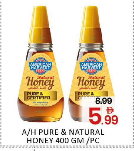 Mango available at مانجو هايبرماركت in الإمارات العربية المتحدة , الامارات - دبي