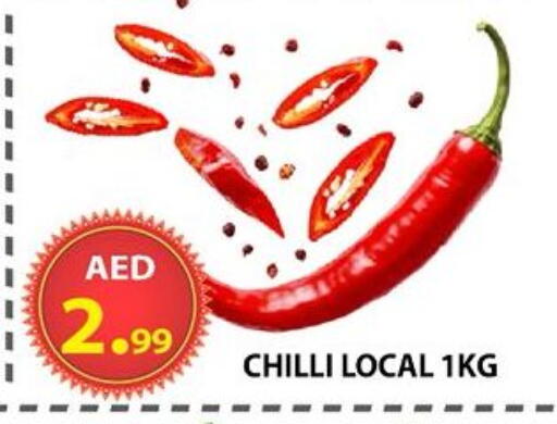 Chilli available at مركز الوحدة للتخفيضات in الإمارات العربية المتحدة , الامارات - الشارقة / عجمان