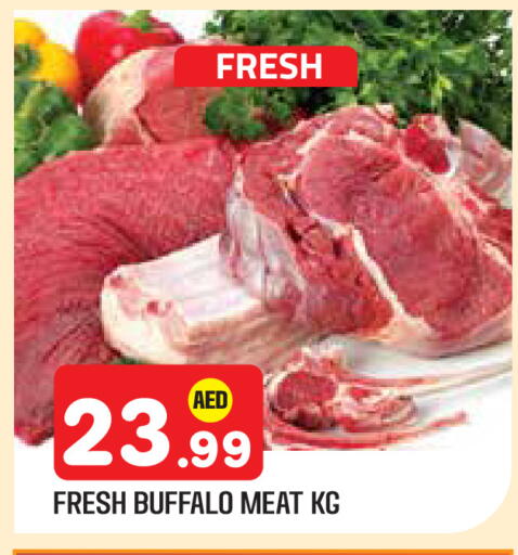 available at سنابل بني ياس in الإمارات العربية المتحدة , الامارات - أبو ظبي