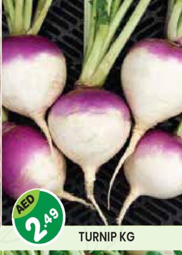 Turnip available at سنابل بني ياس in الإمارات العربية المتحدة , الامارات - أبو ظبي