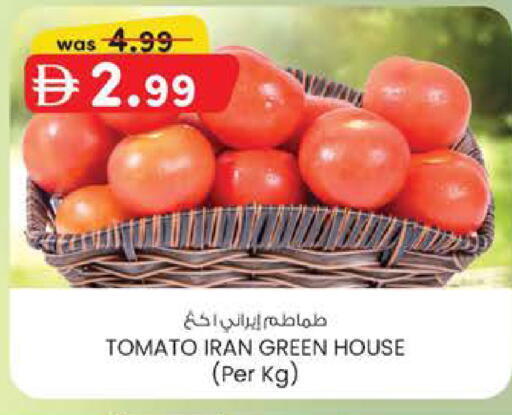 Tomato from Iran available at ك. الم. للتجارة in الإمارات العربية المتحدة , الامارات - الشارقة / عجمان
