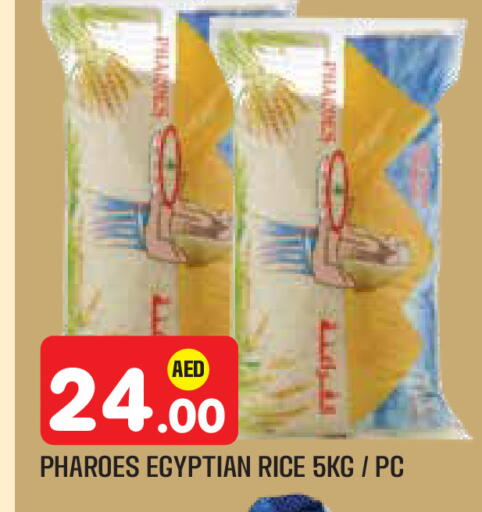 available at سنابل بني ياس in الإمارات العربية المتحدة , الامارات - أبو ظبي