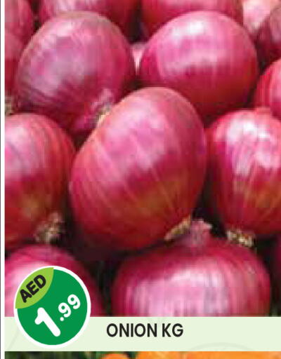 Onion available at سنابل بني ياس in الإمارات العربية المتحدة , الامارات - أبو ظبي